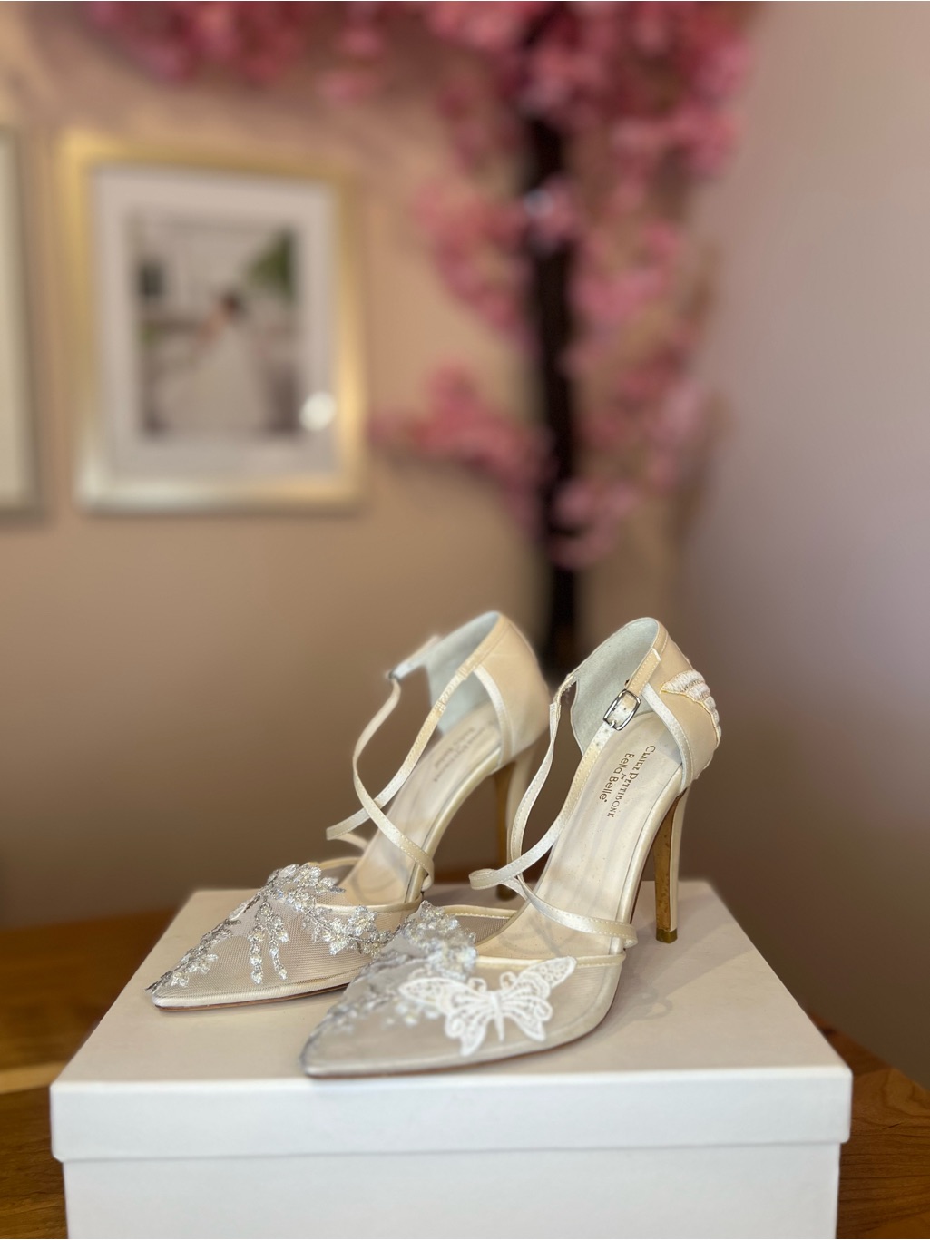 Embellished Ivory Satin Pointed-Toe Heels (Claire Pettibone)